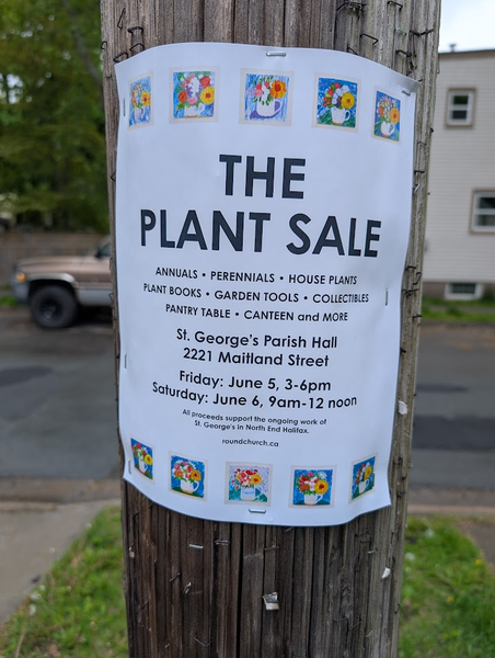 The Plant Sale